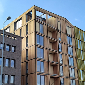 Lees meer over het artikel Houten woontoren Timber House binnenkort bewoonbaar & Project Koelmalaan net van start!